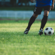 Copa impulsiona gestão de dados em cloud