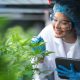 Cannabis medicinal amplia debate industrial no Brasil