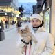 Empresa brasileira já embarcou 15 mil pets ao exterior